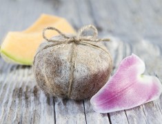 Llama Loofahs - Cantaloupe Lily